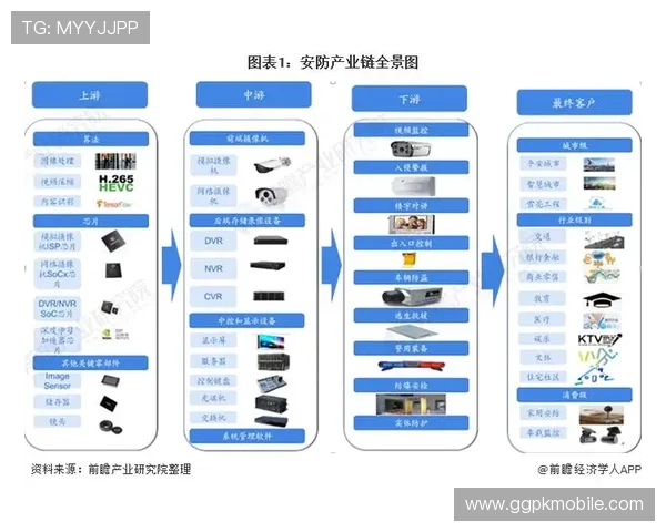 瑞丰乐投：未来发展趋势与行业竞争格局的深度分析